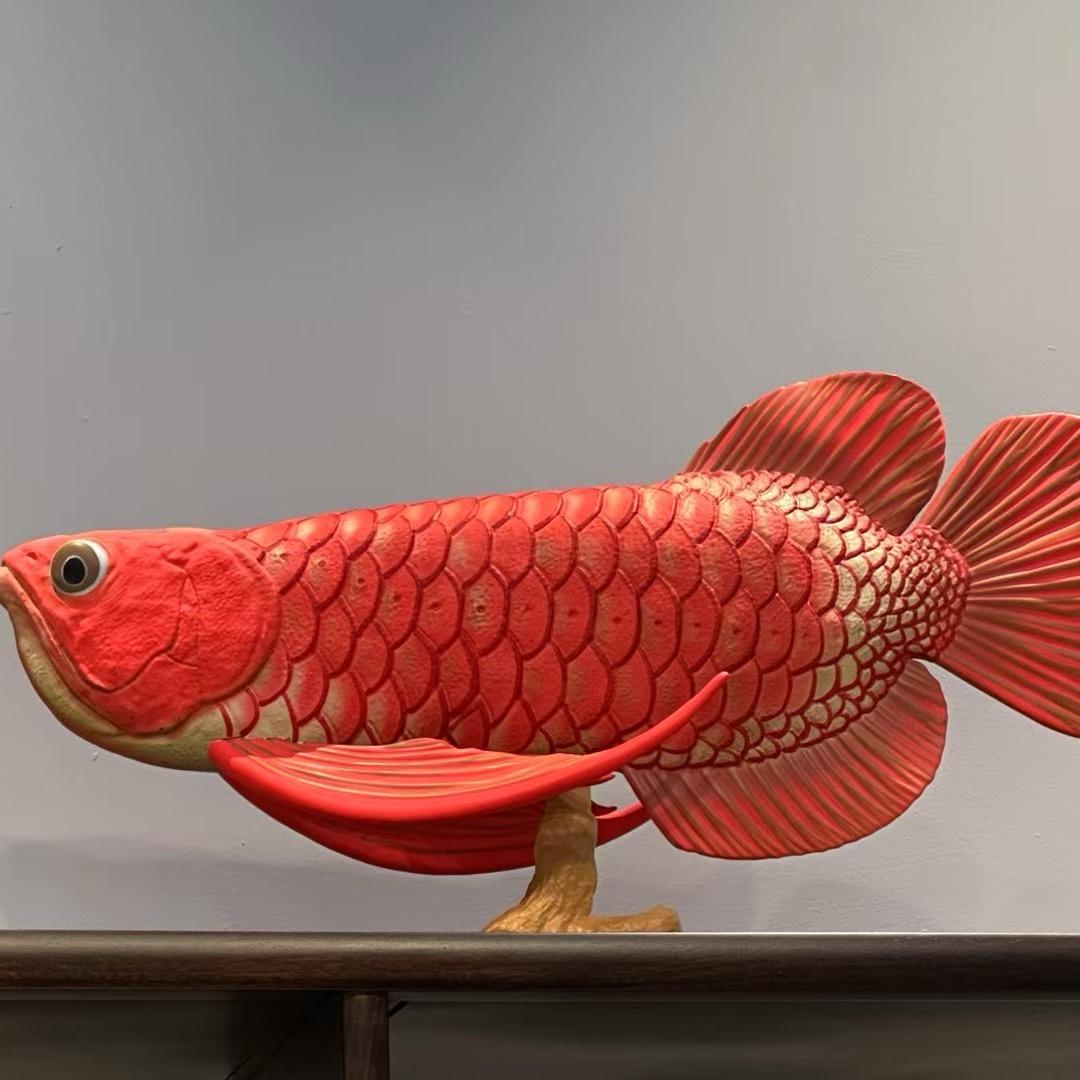 杨能昌水族馆（阿彩）