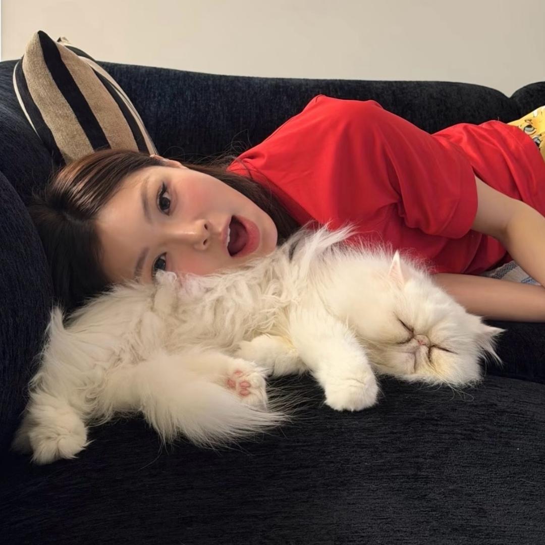 什么小冰块🧊