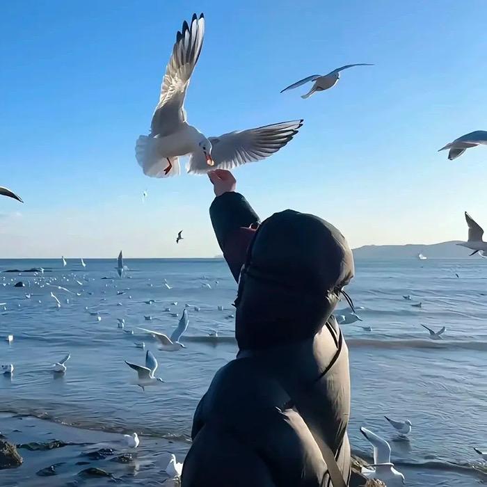 爱讲废话的芝士青年