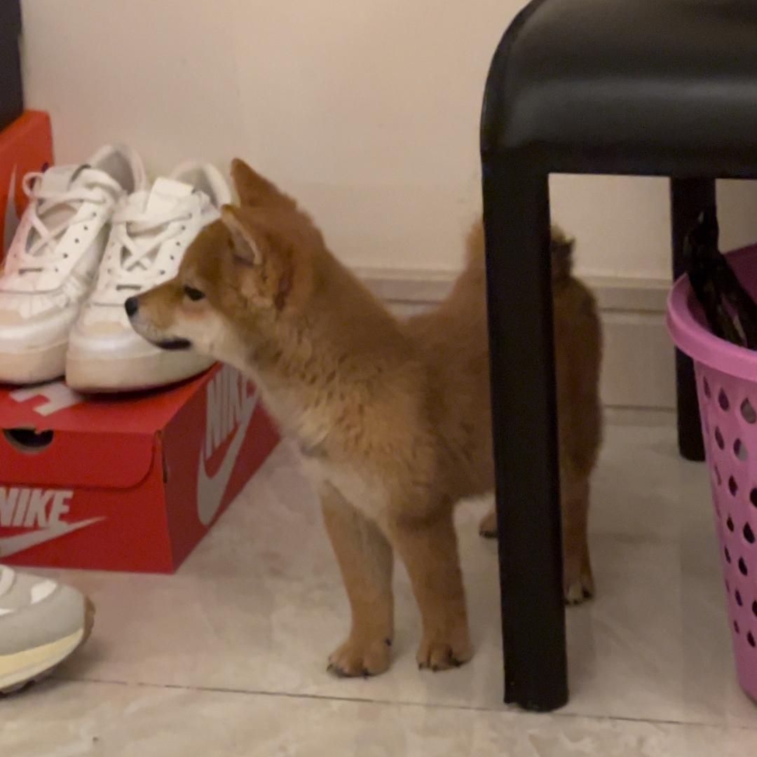 我给你来段说唱