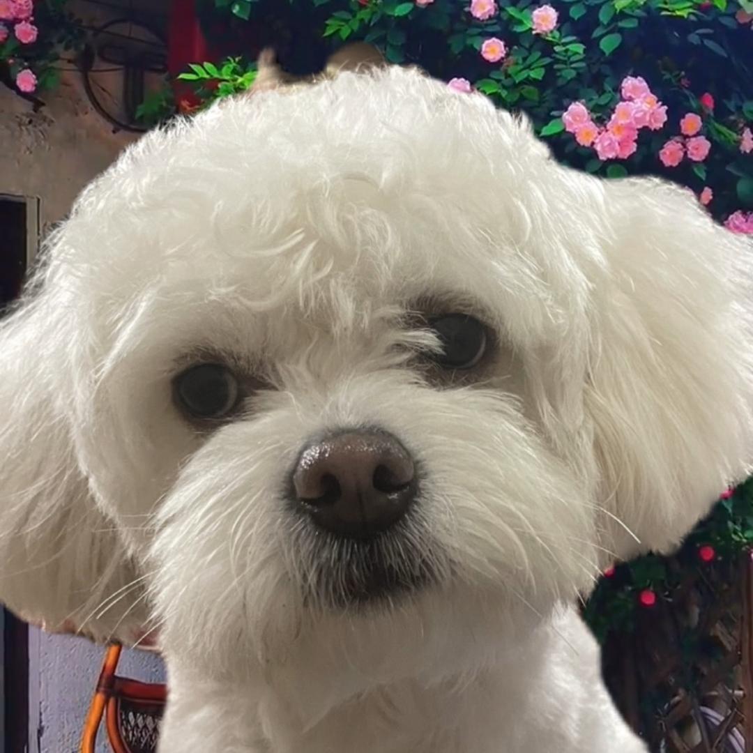 苏苏🫥