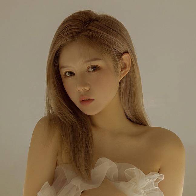 小黄鸭🐣
