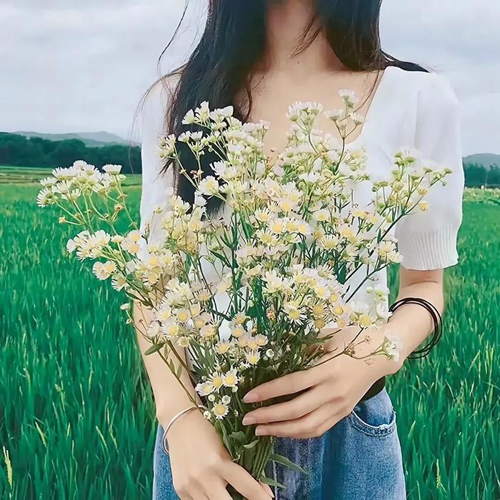 晴梦晴