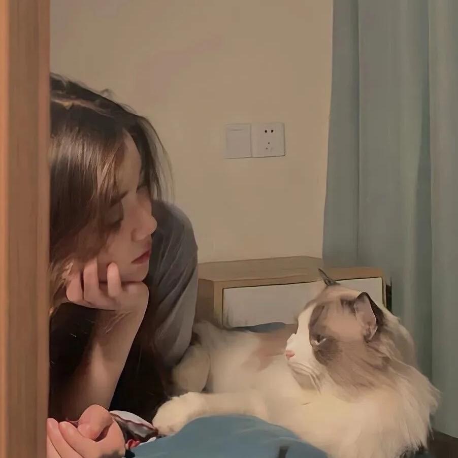 拾月聆秋ᶞ