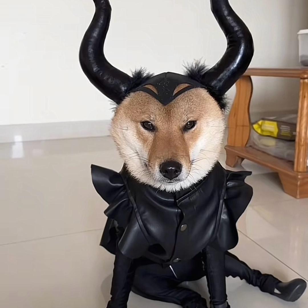 小年糕儿
