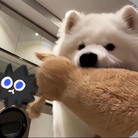大理石