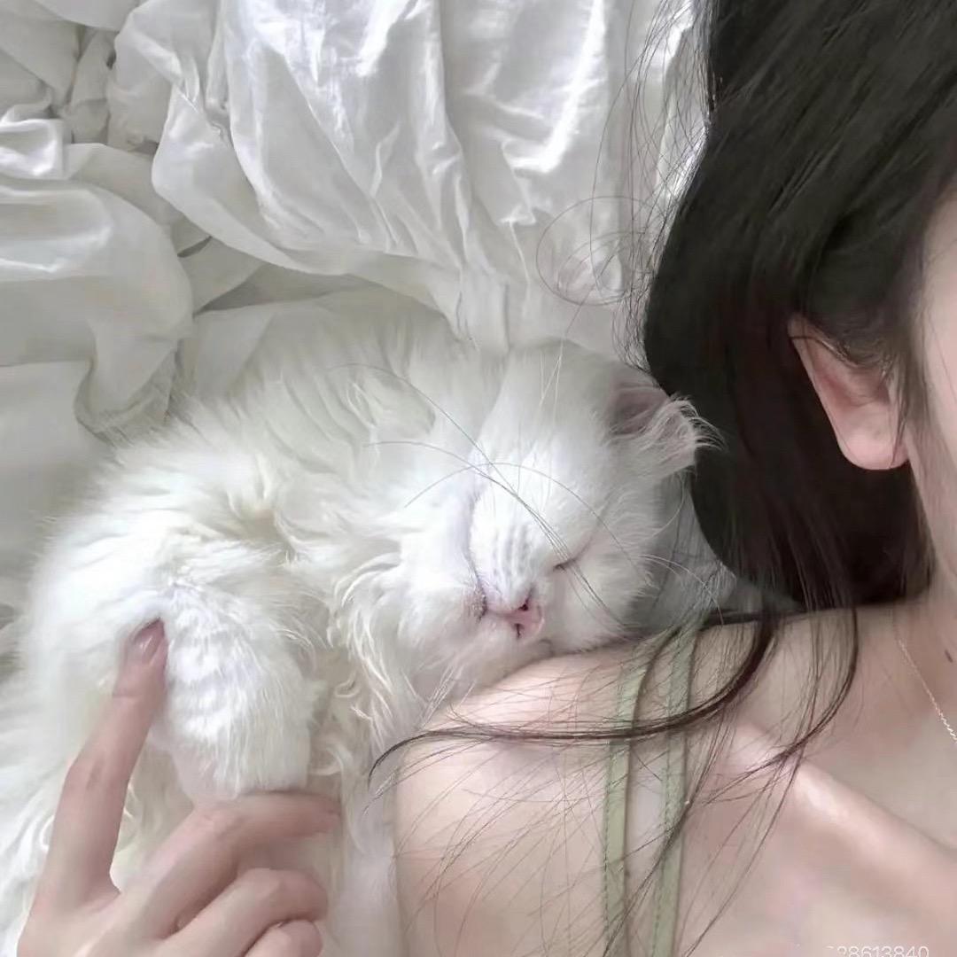 洛初🍭