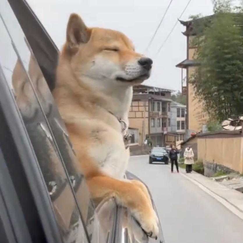 枕月甄选🍊脐橙源产地