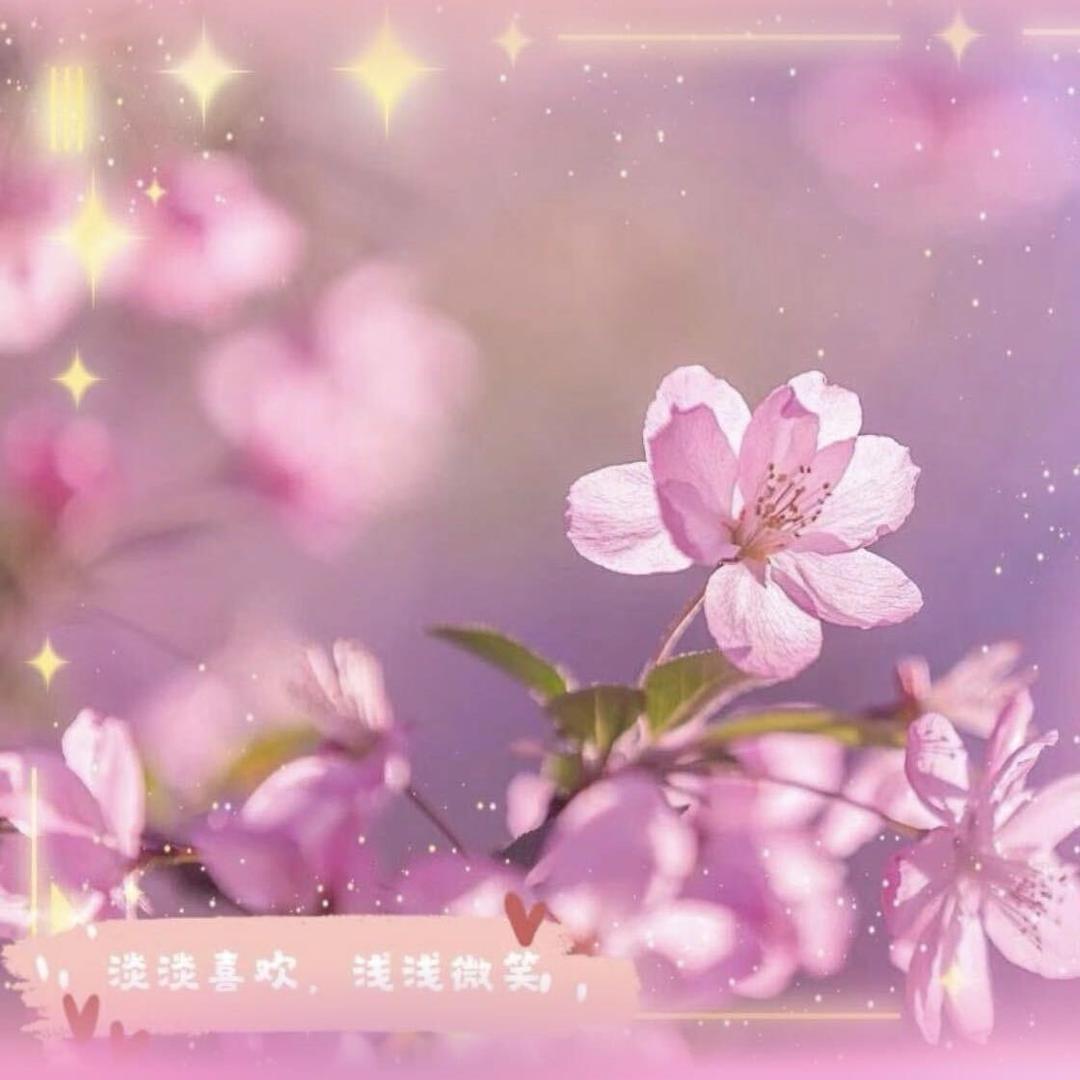 小蕾