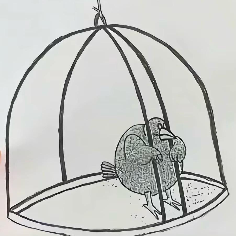 Ꭽℯ⃝土豆丝ঞᩚ꧔ꦿ᭄