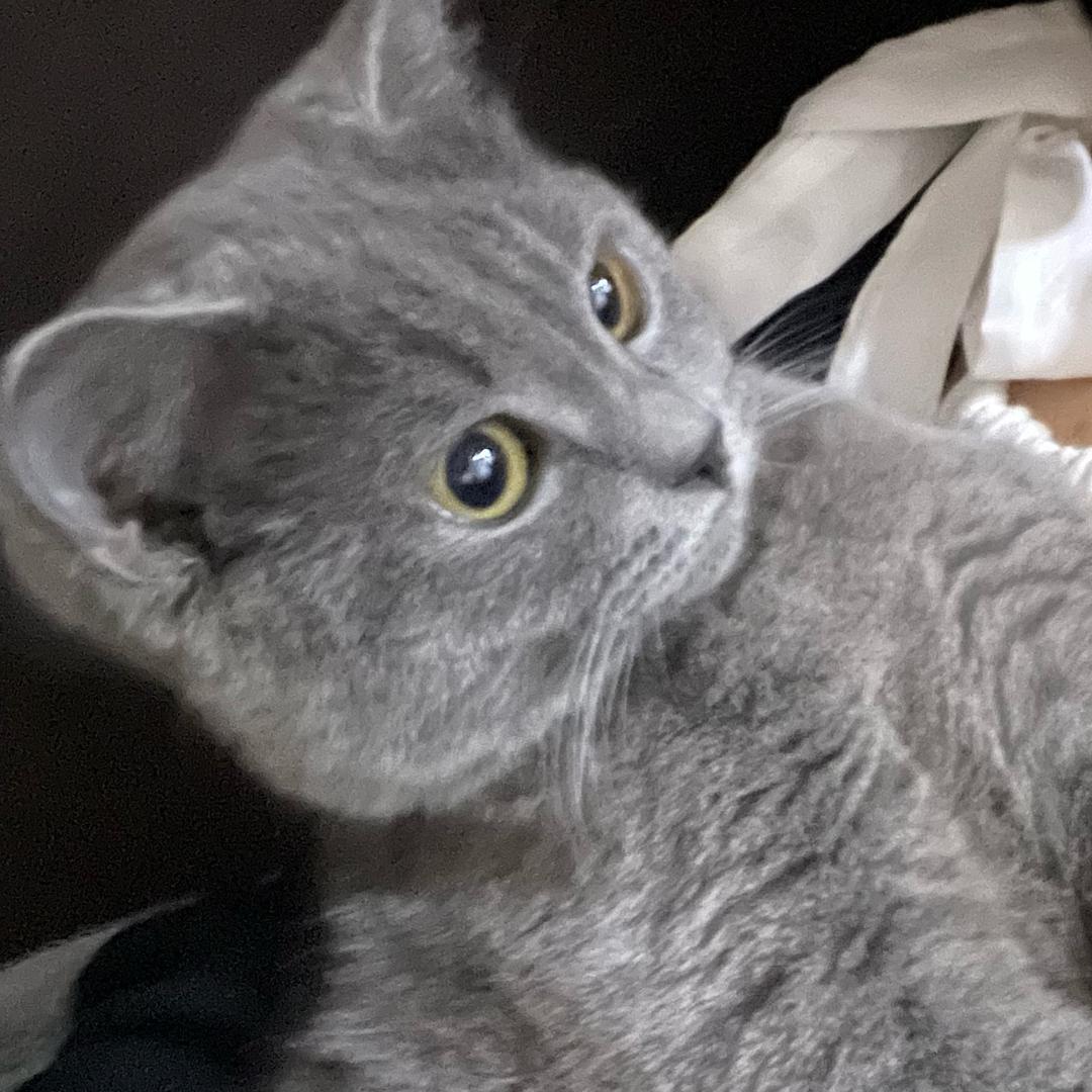 一个丽江的化妆师