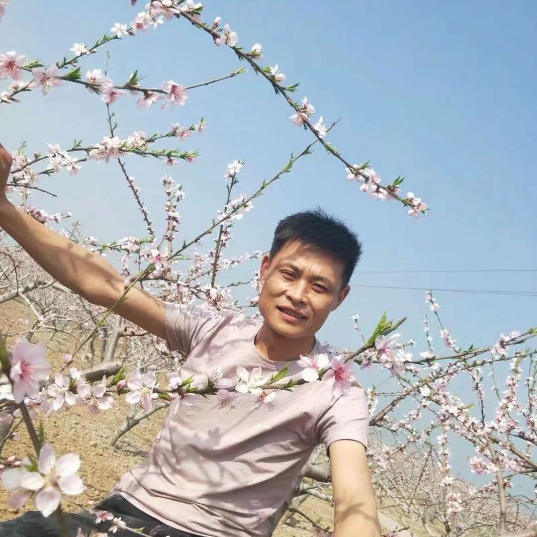 乡村农产品(明哥)
