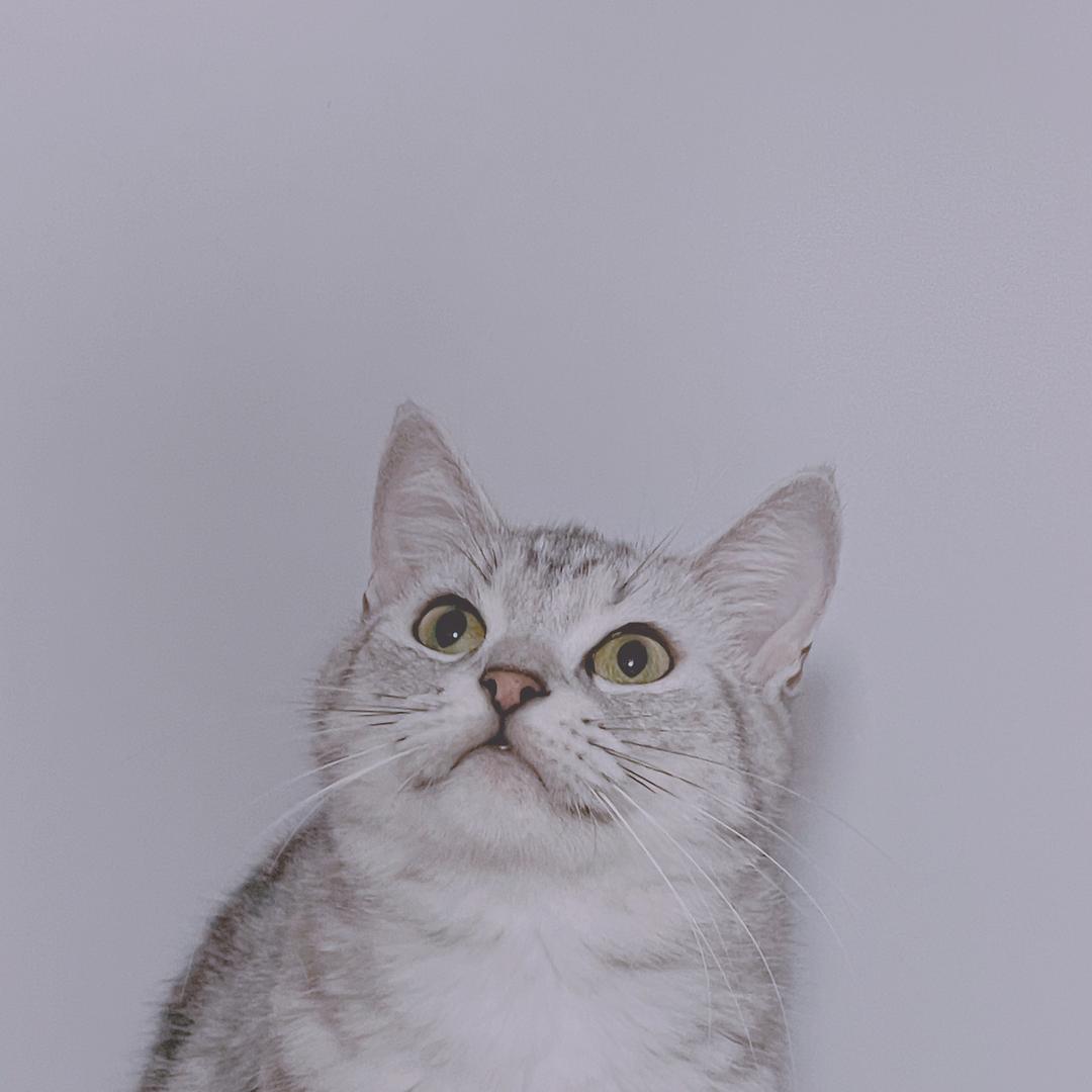 Mo.