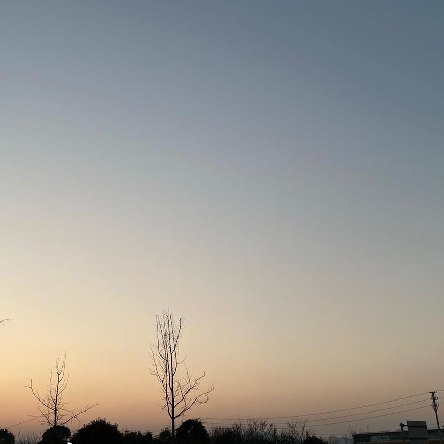 丽总商道