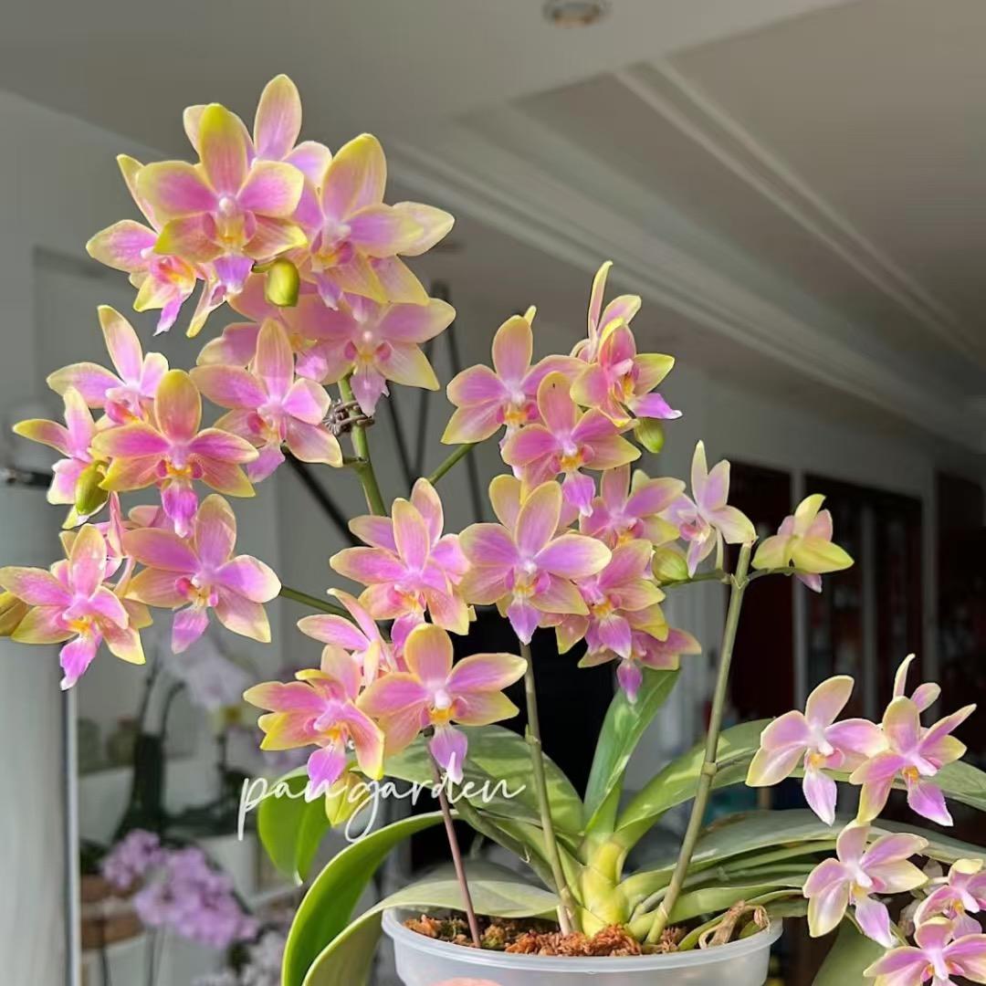 云台农场（11.1号到2月脐橙季节）