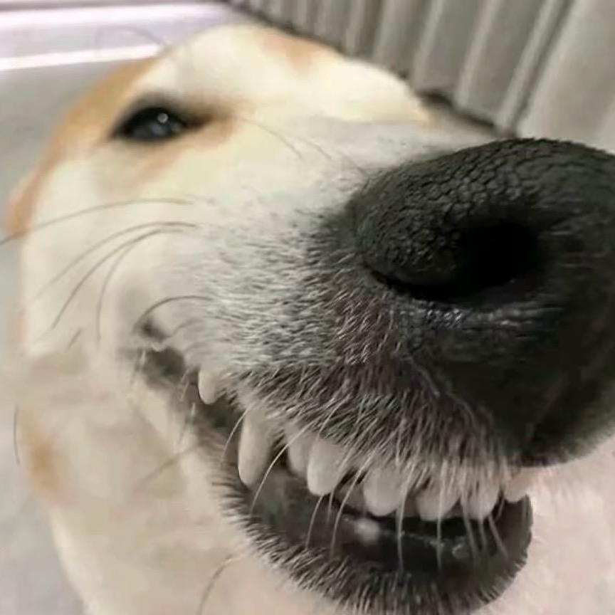 心之所往