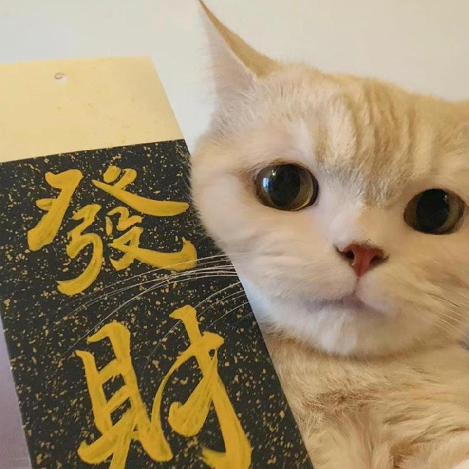 知衍.