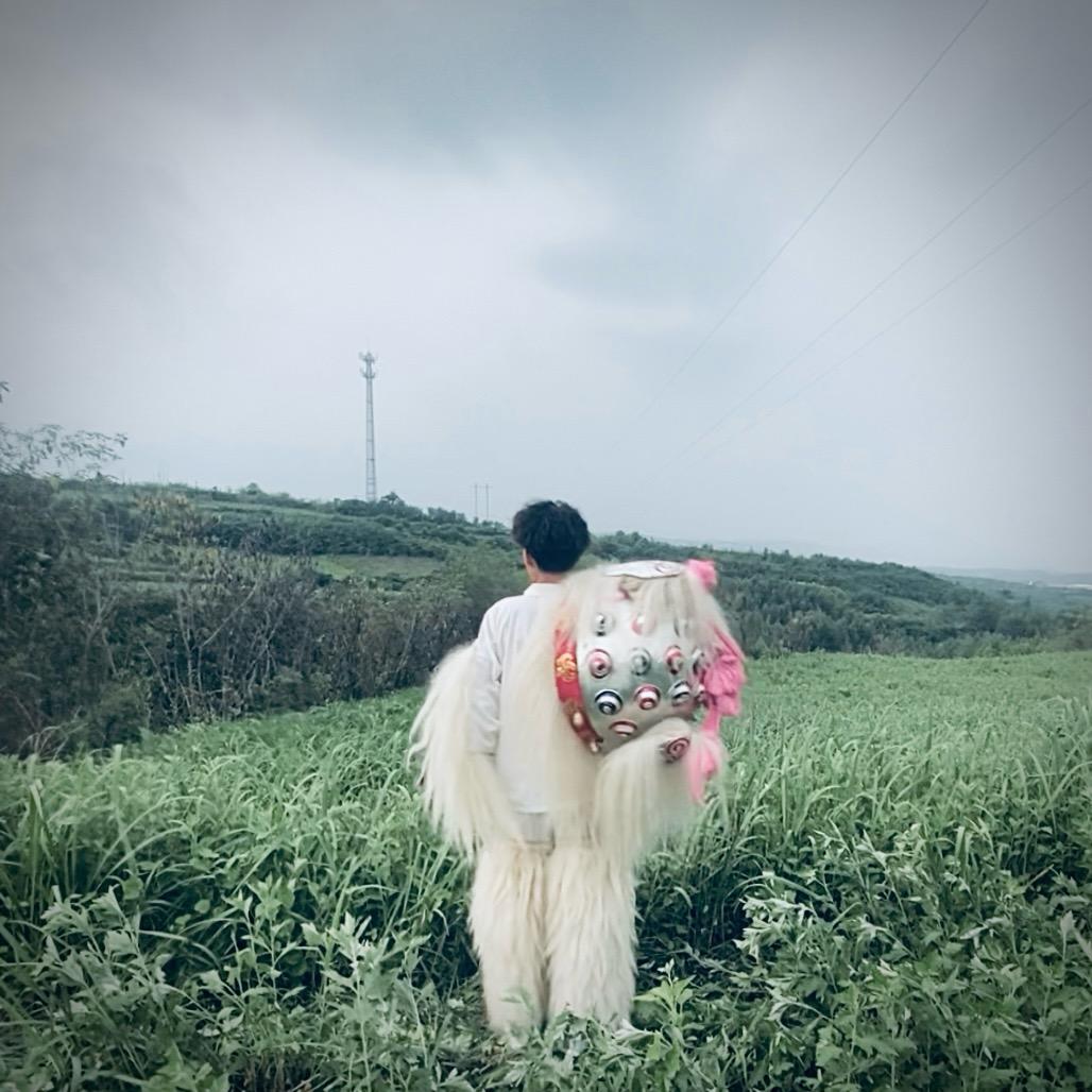 山东阳谷小白狮舞狮团