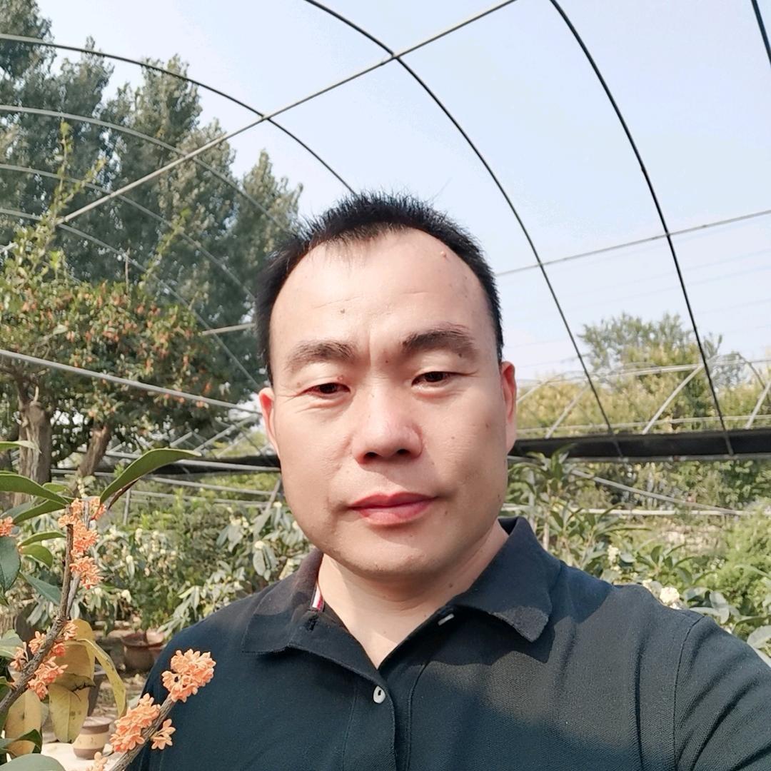 琅琊紫薇园临沂市润园苗木有限公司