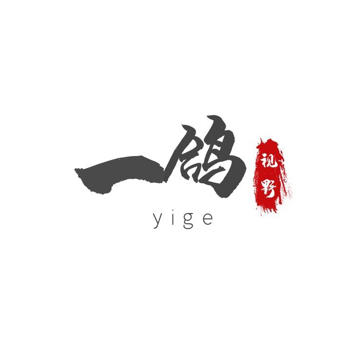一鸽视野