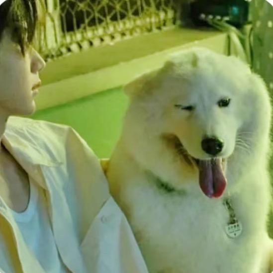 Linsngo（王源薛之谦见过版）