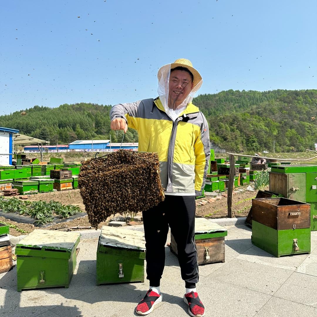 长白山良心小胖蜂蜜
