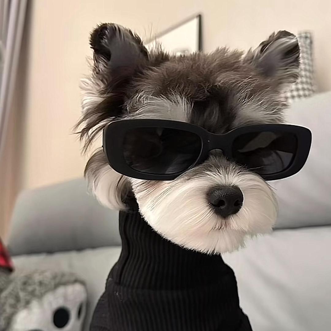 奋斗乡大毛课