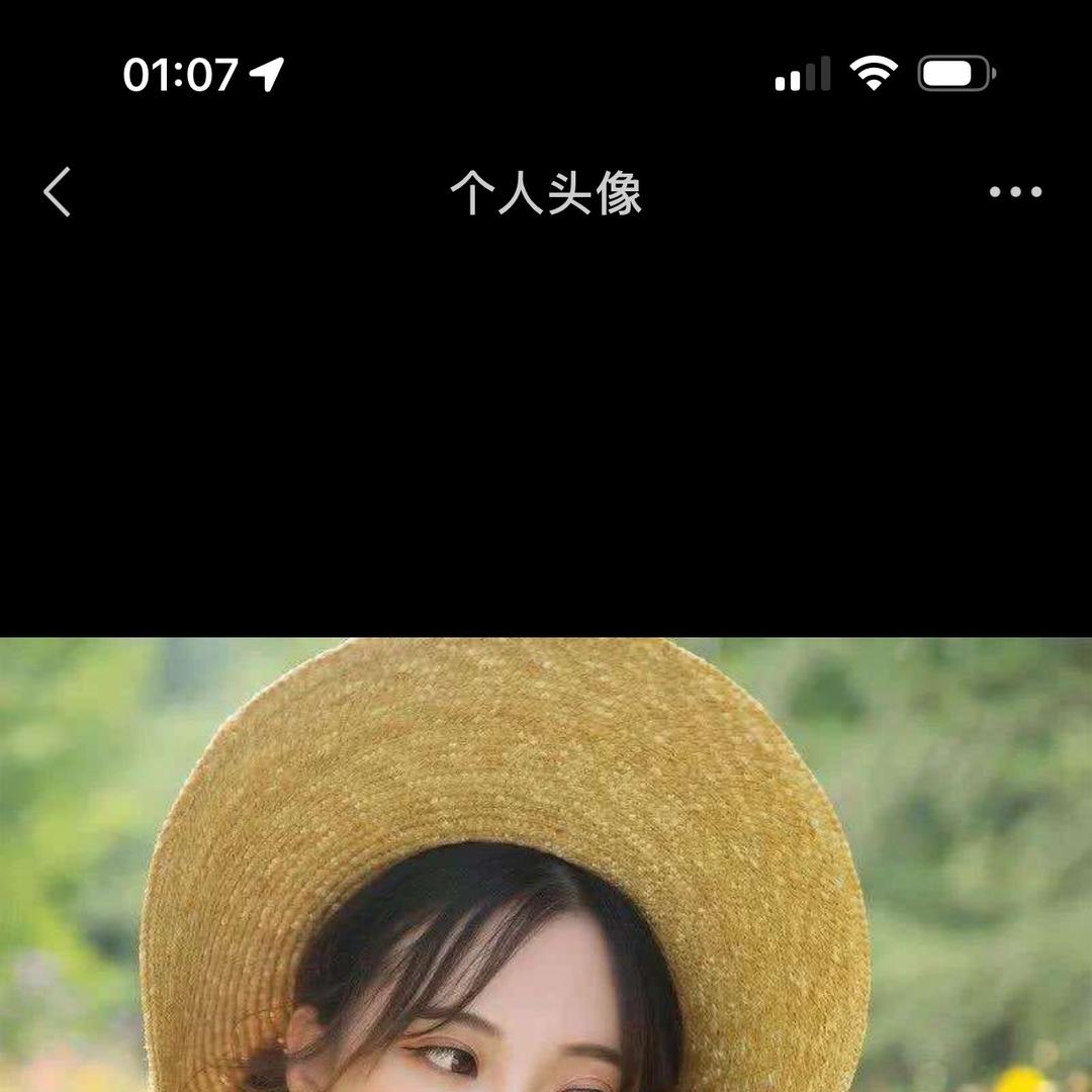 沪嘉物流