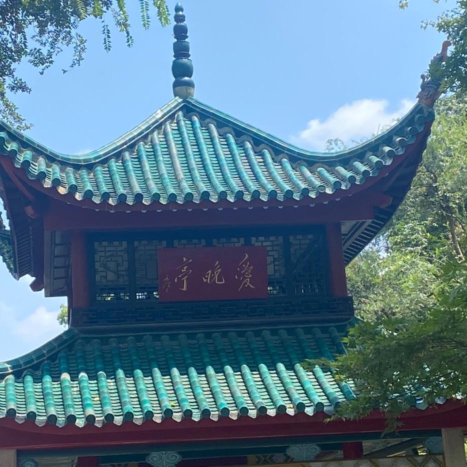 心若向阳何惧风雨