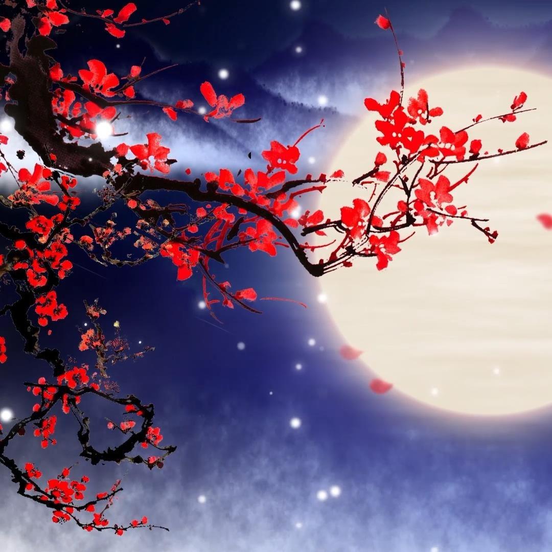 唤不醒的除了你还有我