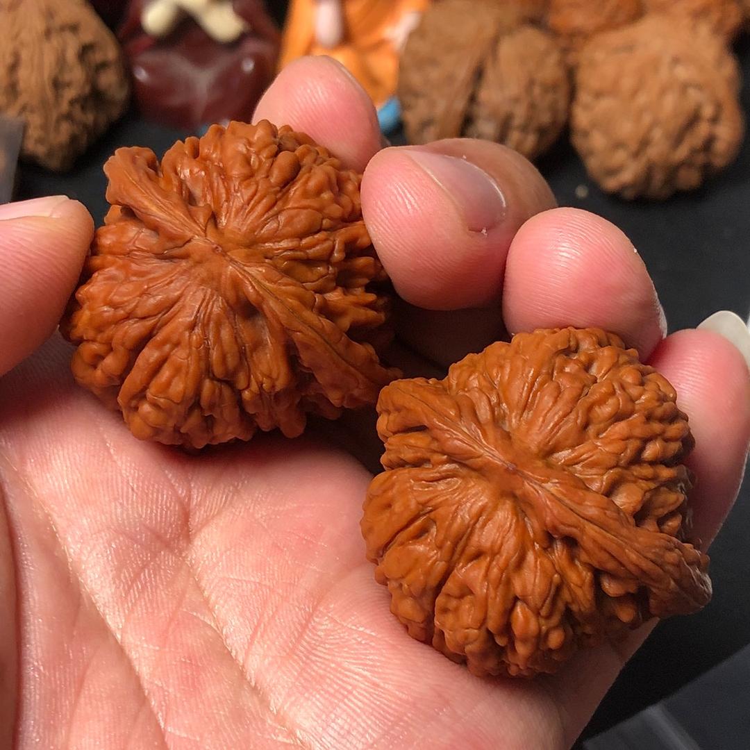 文玩核桃晓娜的头像