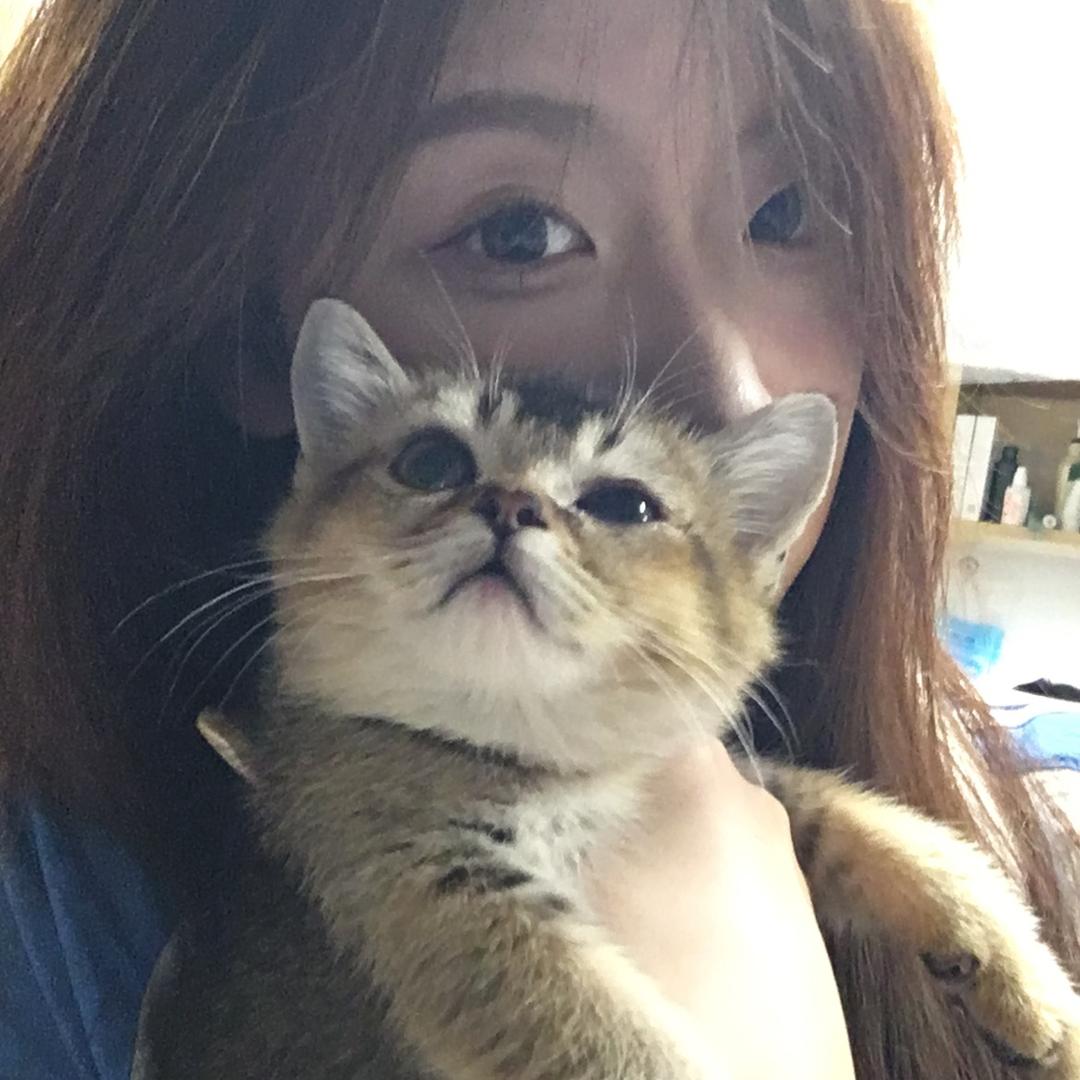 我爱吃泡椒笋尖