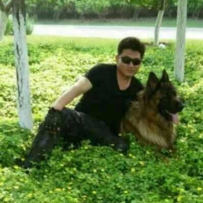 🇨🇳✨张刚✨🇨🇳