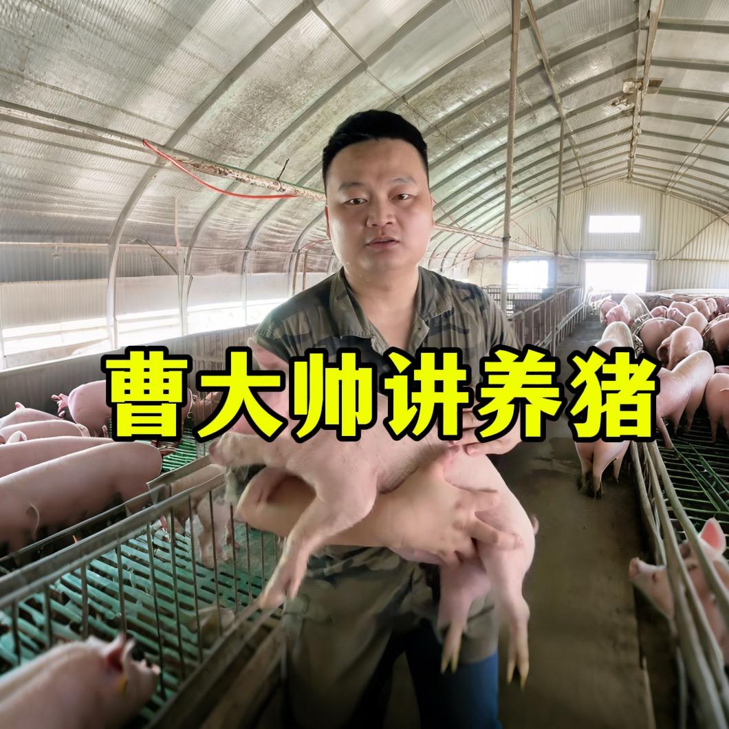养猪人（曹老板）