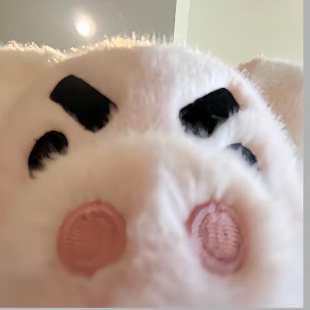 贤贤