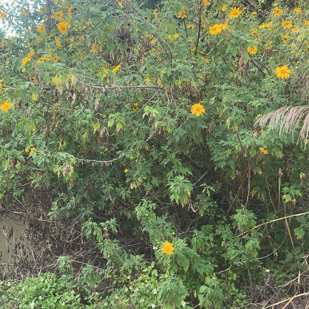 一起来