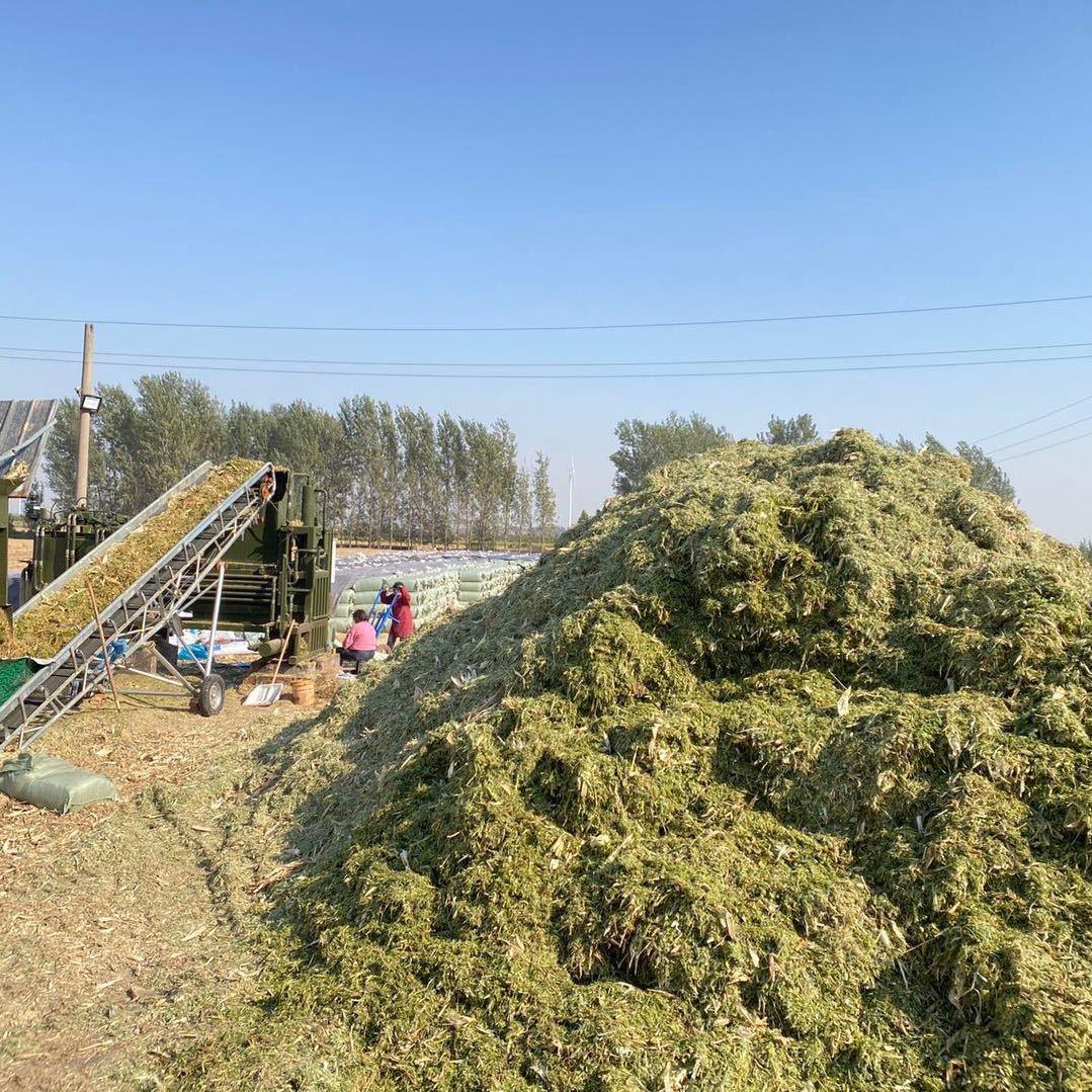 雨田草业 安阳