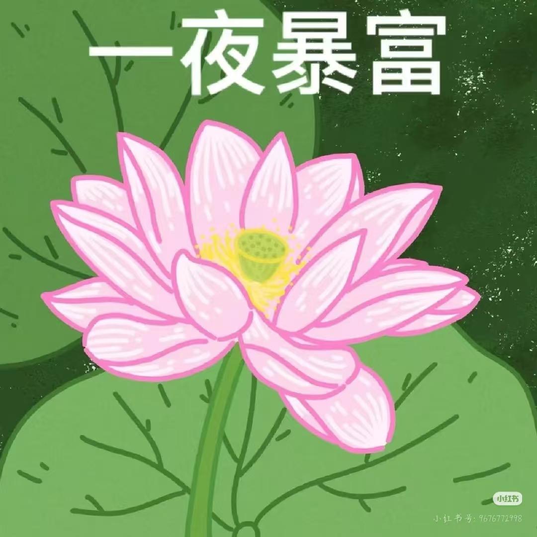来财好不好