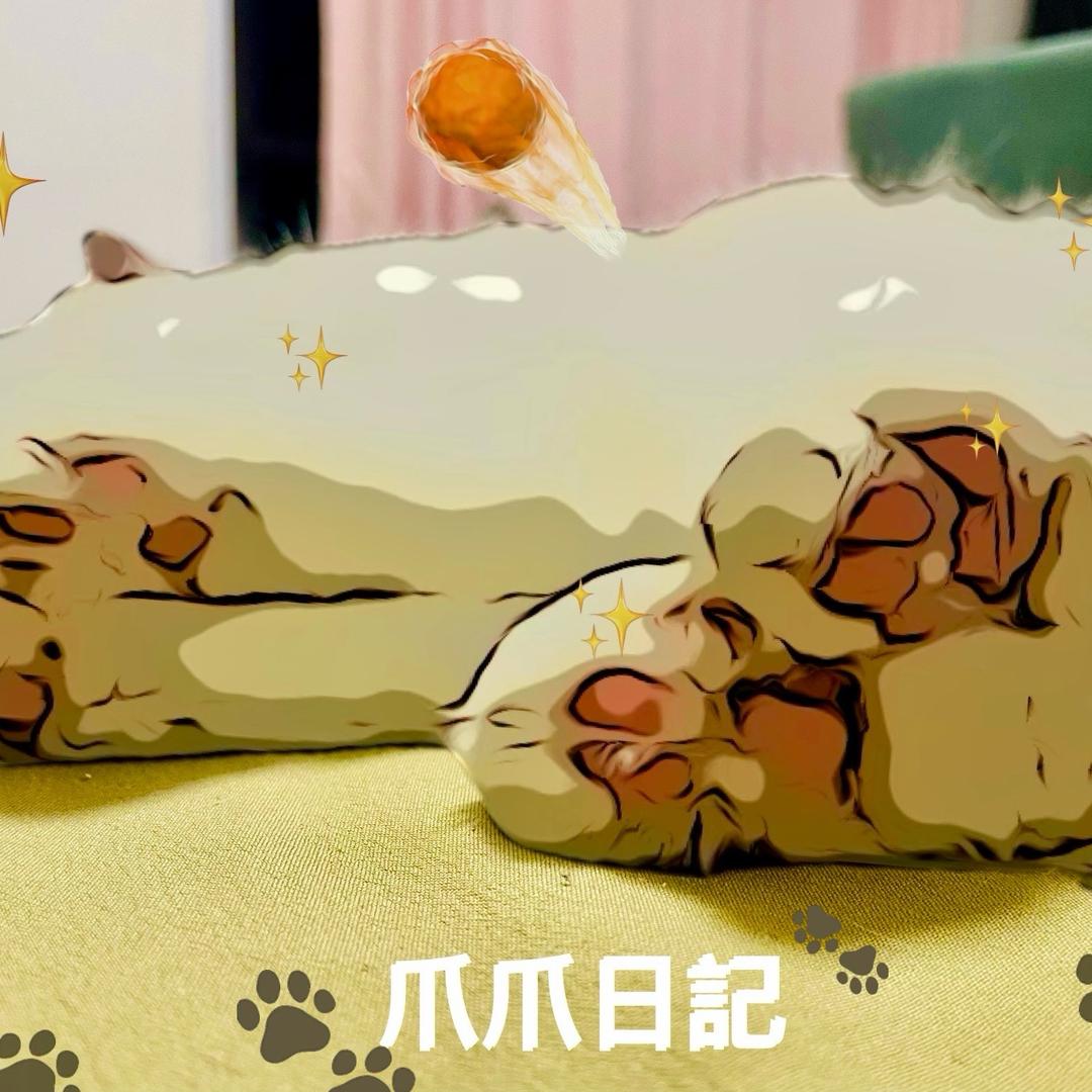 🐾小爪子日记🐾
