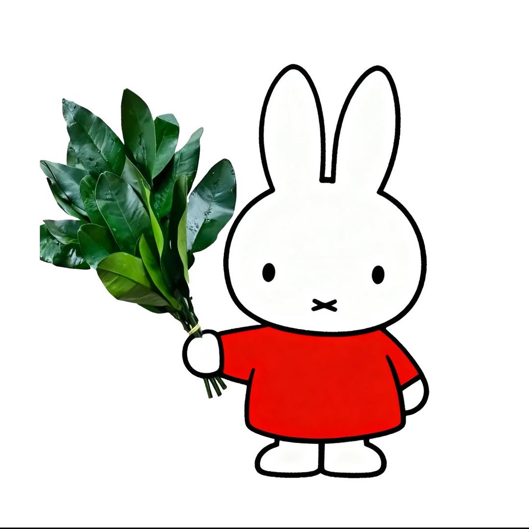 小丑鱼