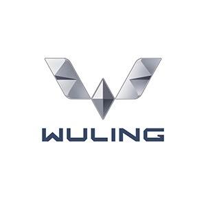 五菱汽车直销—小菱