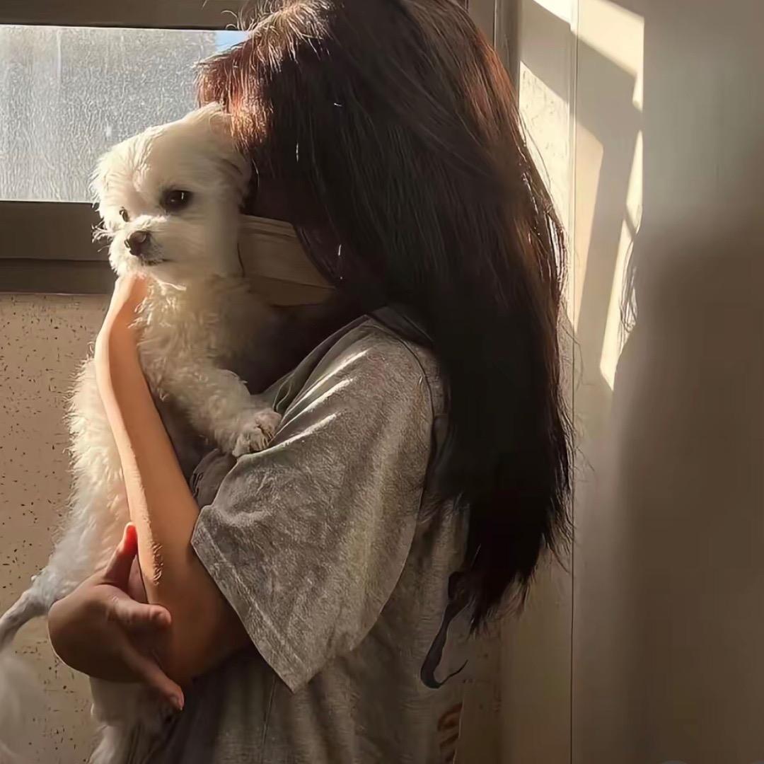 福源车队🚗