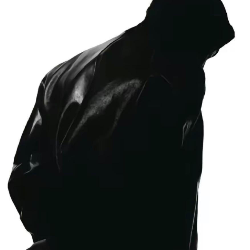 豹