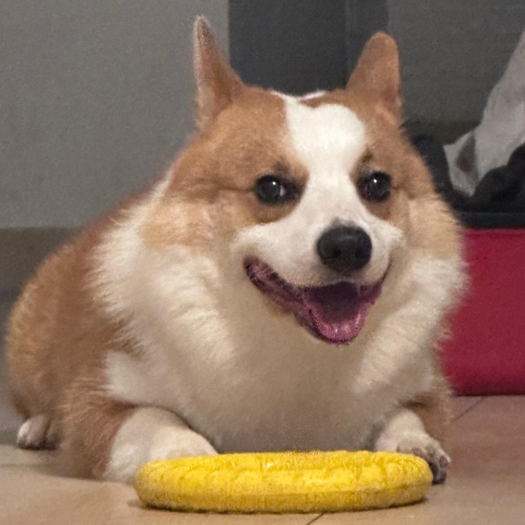 来好运只有28斤