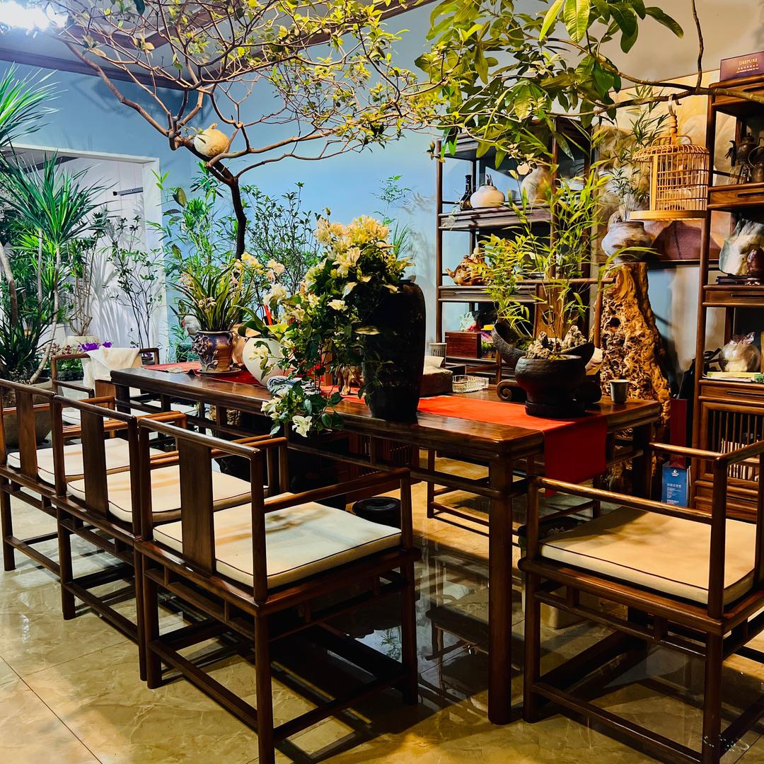 龙口市琪琪家的小花园