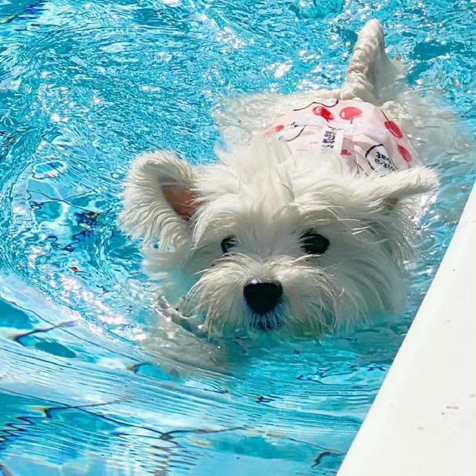 运气