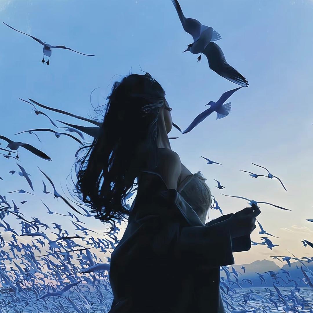sky-YX