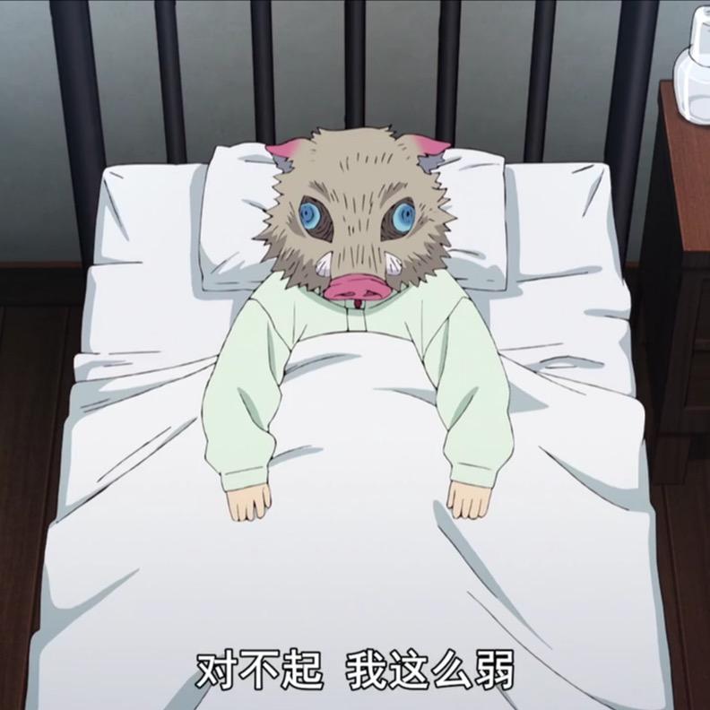 陈天天睡大觉