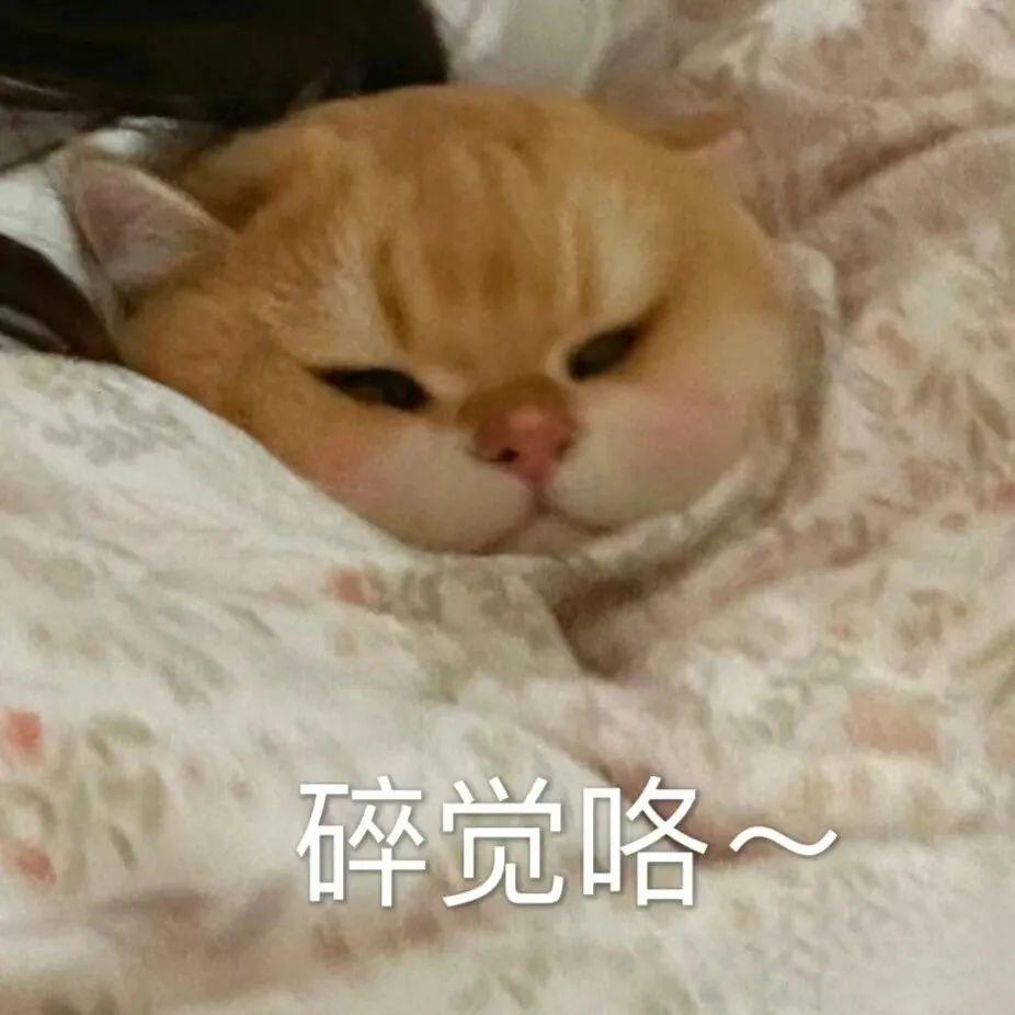 幸运鹅