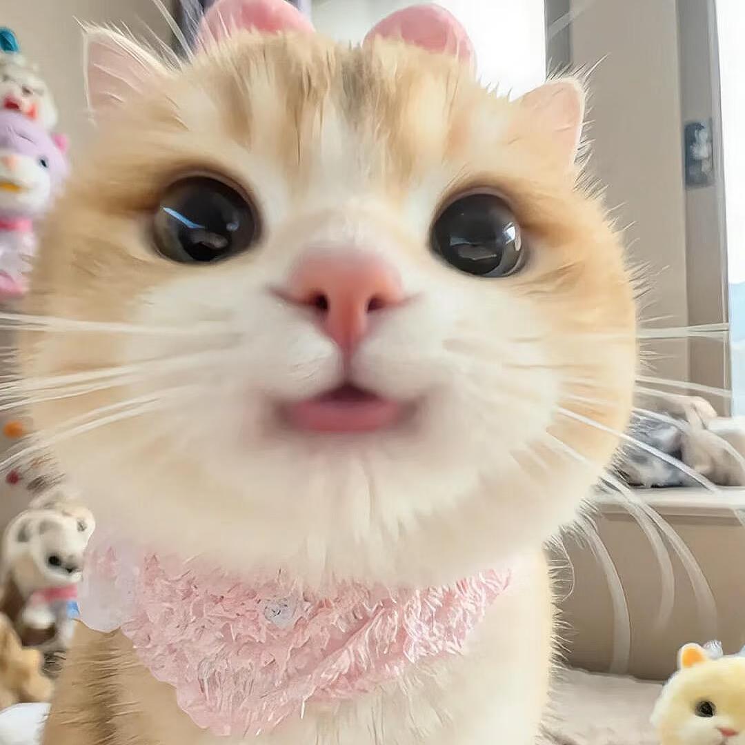 椰子.
